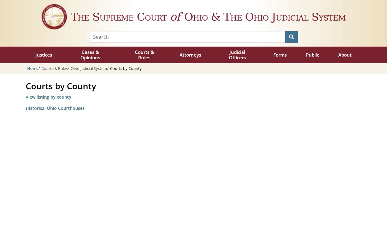 Guernsey County docket search court directory for trial-court routing